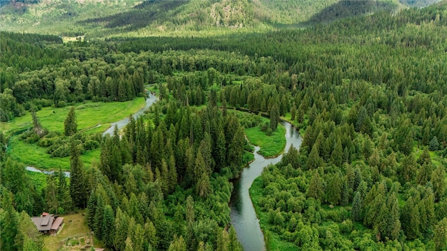 drone / aerial view with a view of trees