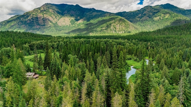 property view of mountains featuring a view of trees