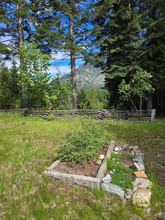 view of yard with a mountain view