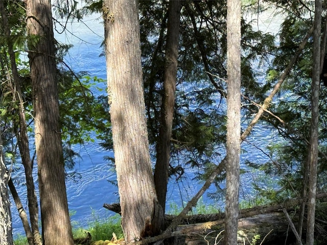 view of water feature