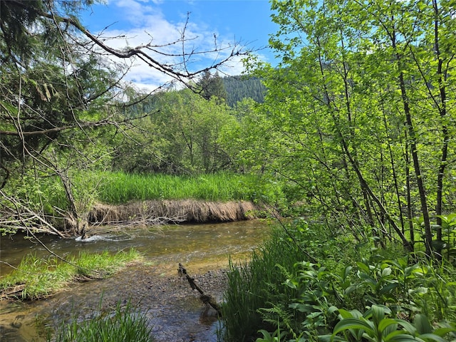 view of nature featuring a view of trees