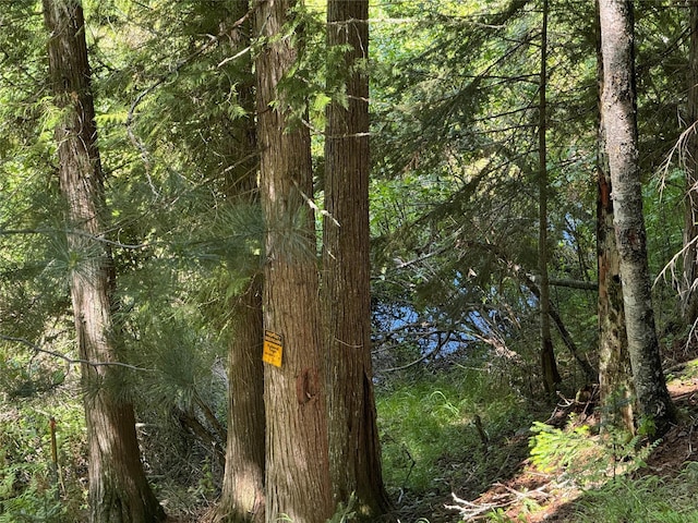 view of local wilderness with a view of trees