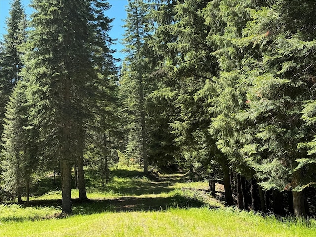 view of landscape with a wooded view