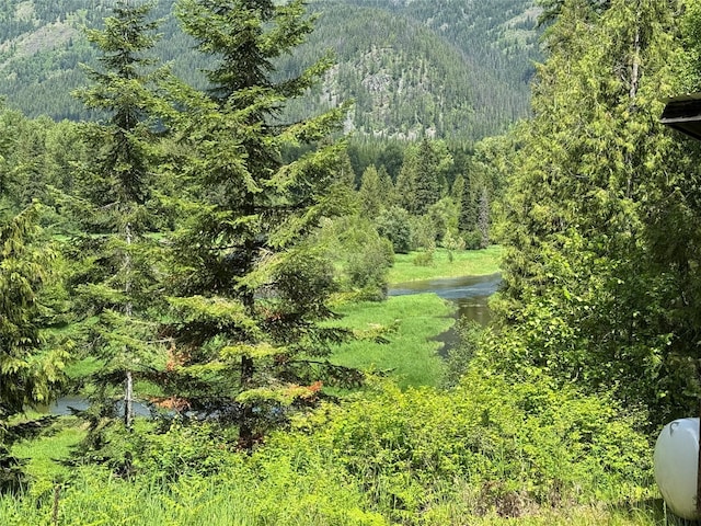 view of yard featuring a wooded view