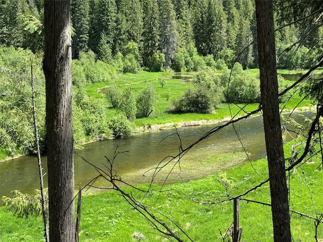 water view featuring a wooded view