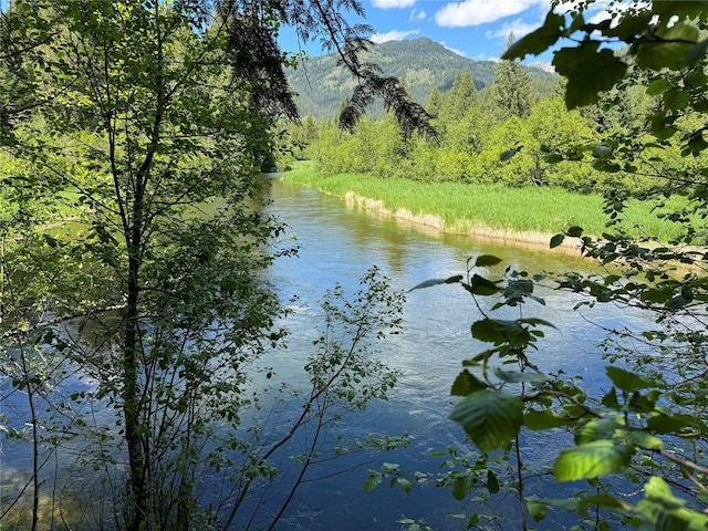 property view of water with a mountain view and a view of trees