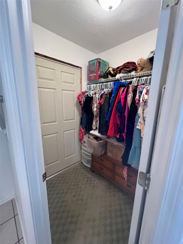 spacious closet with carpet floors