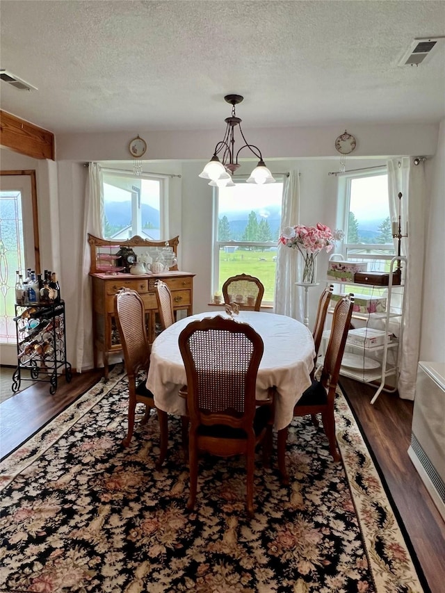 dining room featuring a textured ceiling, a wealth of natural light, and dark hardwood / wood-style floors