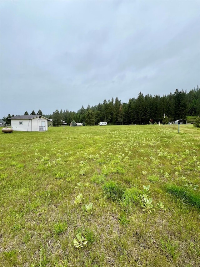 view of yard with a rural view