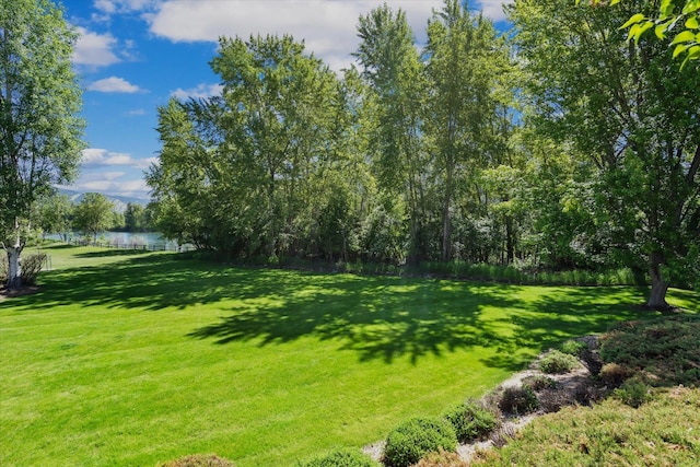 view of yard with a water view