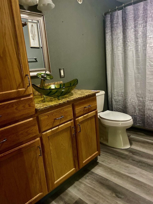 bathroom featuring hardwood / wood-style floors, vanity, and toilet