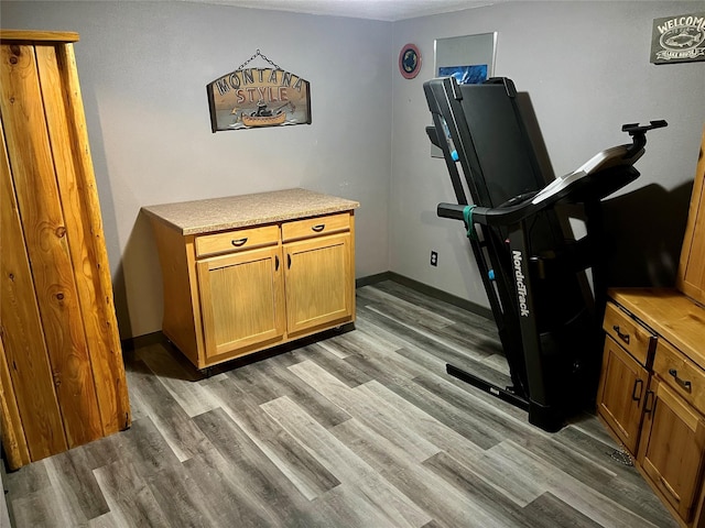 workout area featuring wood-type flooring