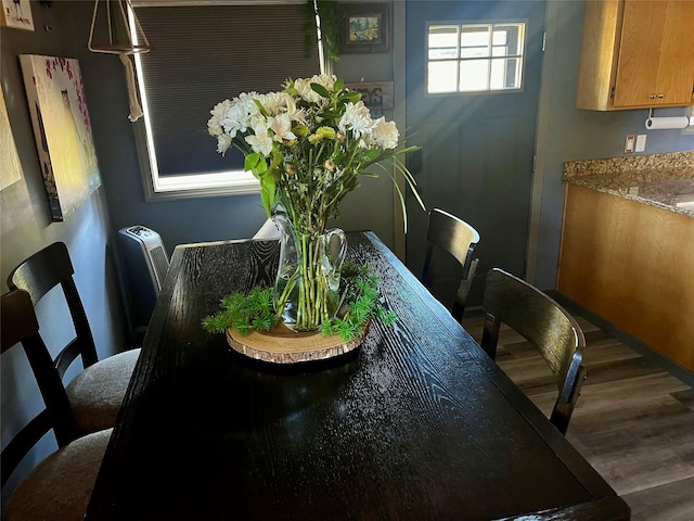 dining room featuring dark hardwood / wood-style floors