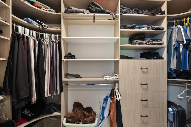 view of walk in closet