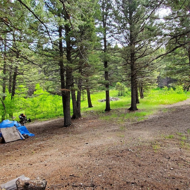 15426 Steamboat Dr, Augusta, MT 59410 - view of yard