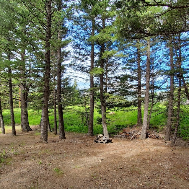 15426 Steamboat Dr, Augusta, MT 59410 - view of local wilderness