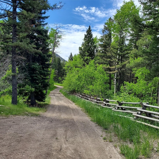 15426 Steamboat Dr, Augusta, MT 59410 - view of road with a forest view