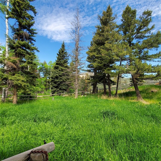 15426 Steamboat Dr, Augusta, MT 59410 - view of yard featuring fence