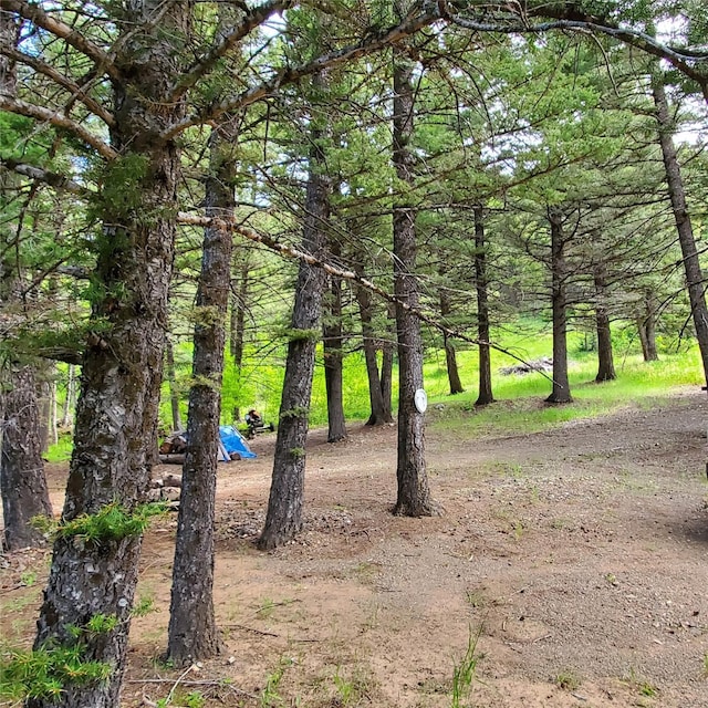 15426 Steamboat Dr, Augusta, MT 59410 - view of nature