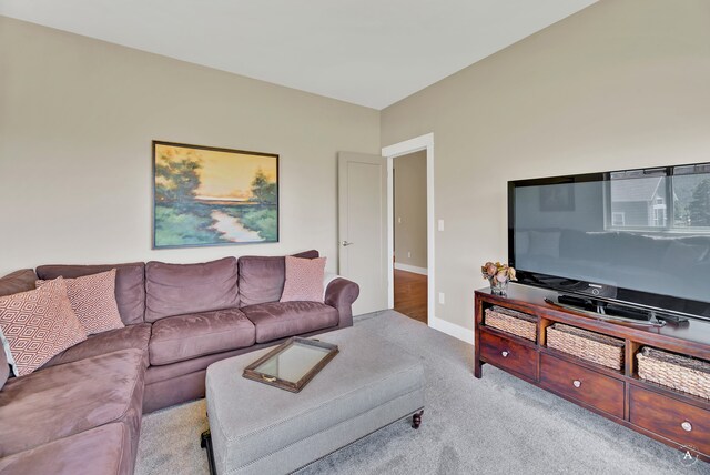 living room featuring light carpet