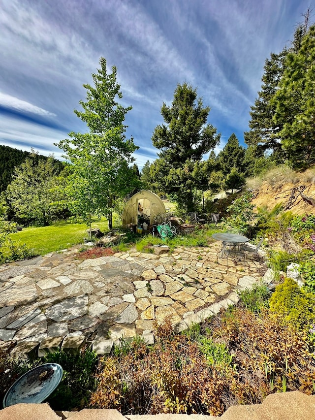 view of yard featuring a patio area