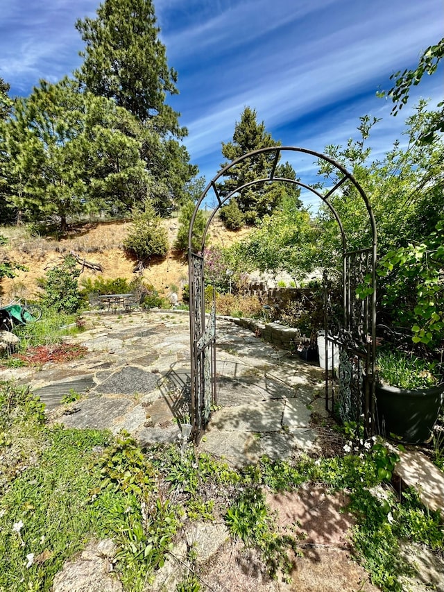 view of yard with a patio area