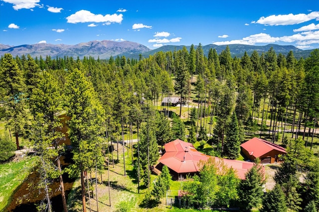 aerial view with a mountain view