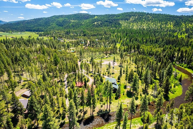 drone / aerial view with a mountain view