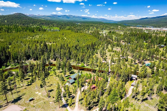 birds eye view of property featuring a mountain view