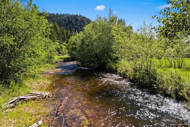 view of local wilderness featuring a water view