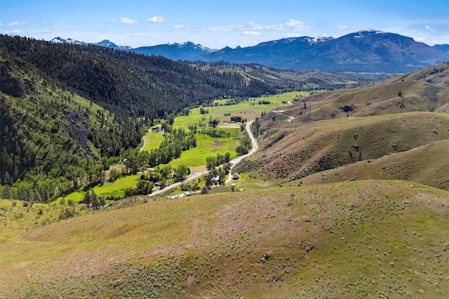 view of mountain feature