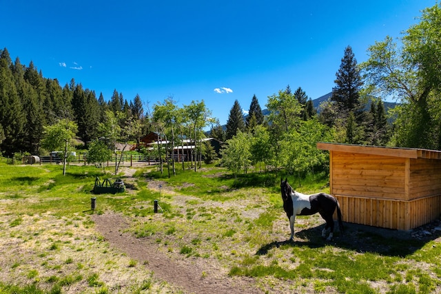 view of yard