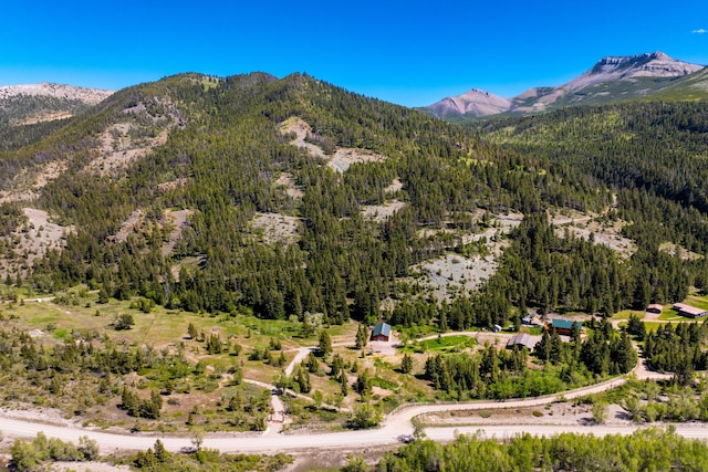 mountain view featuring a view of trees