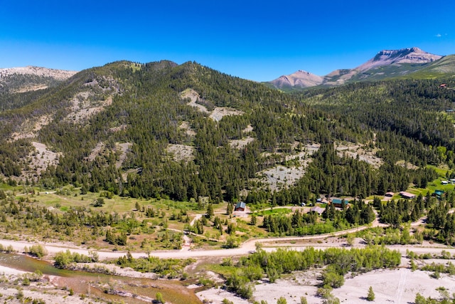 view of mountain feature with a forest view