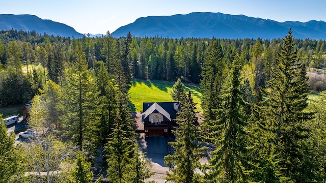 aerial view featuring a mountain view