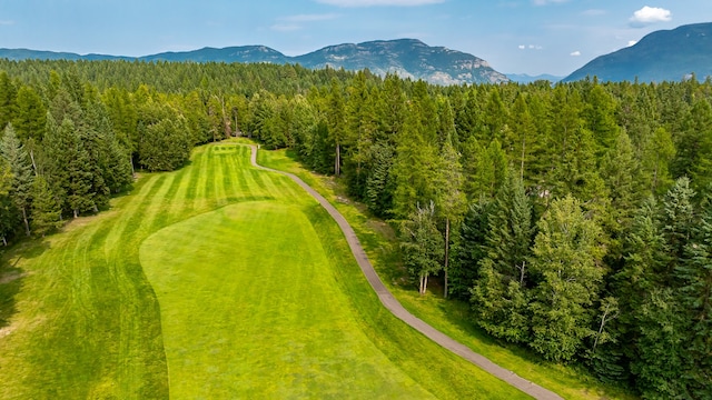 drone / aerial view featuring a mountain view