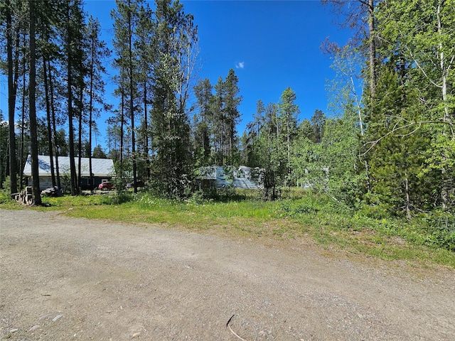 view of street with dirt driveway