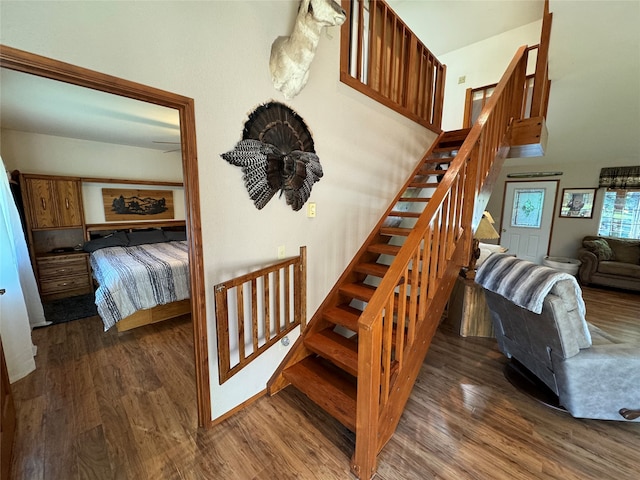 staircase featuring dark hardwood / wood-style flooring