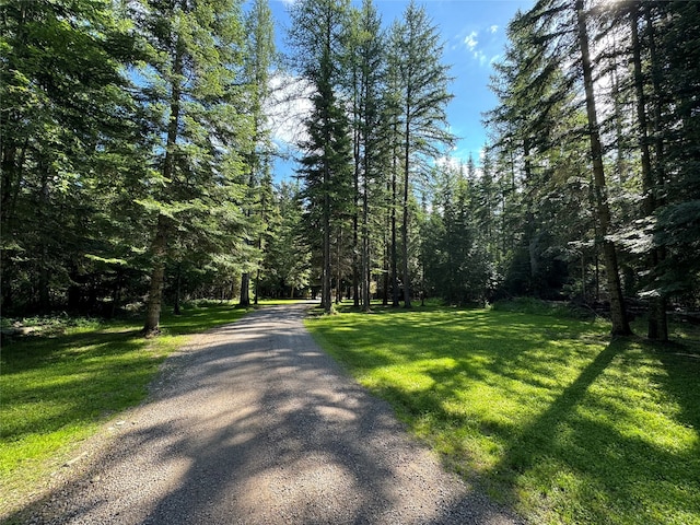 view of road