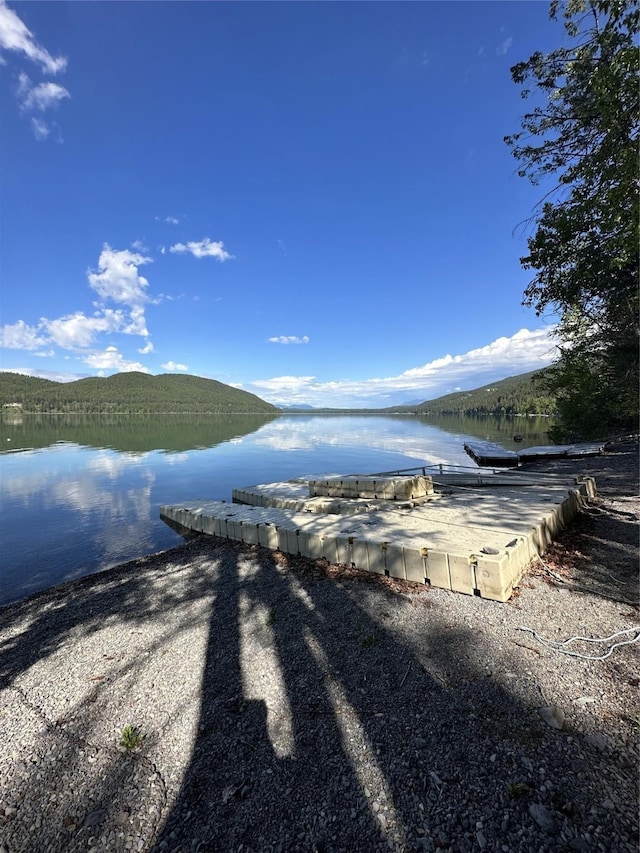 water view with a dock