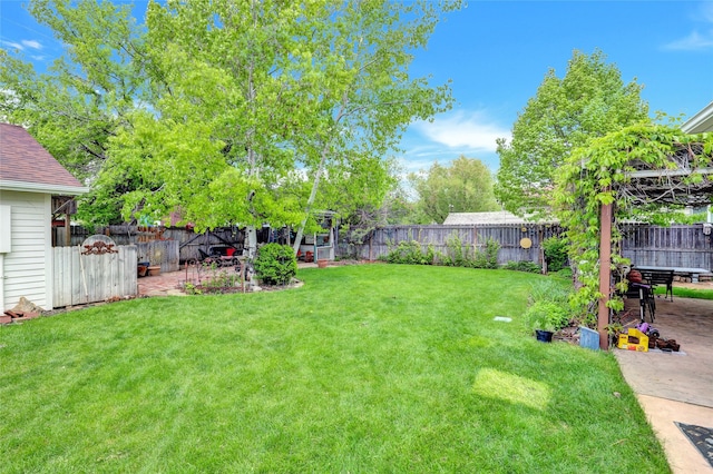 view of yard featuring a patio area