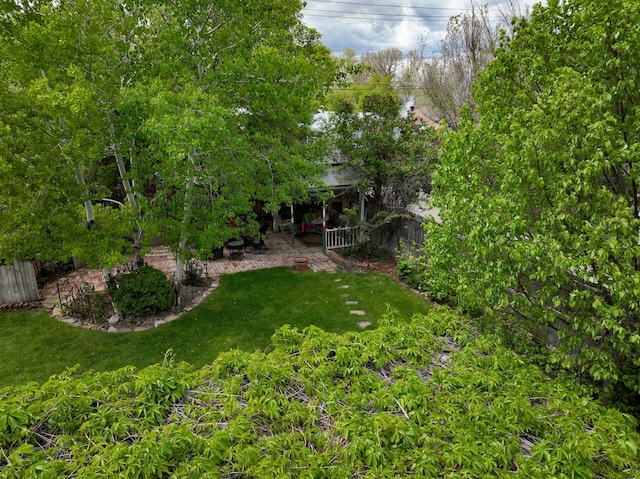 view of yard with a patio area