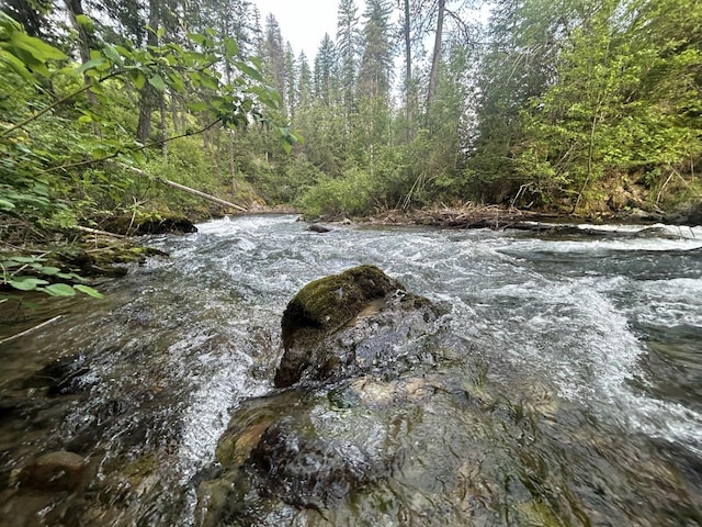 view of local wilderness featuring a forest view