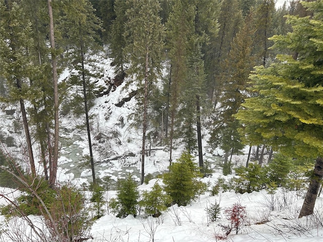 snowy view with a wooded view