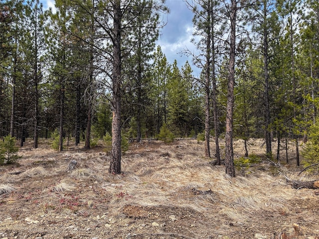 Listing photo 2 for LOT10 Acm Rd N, Libby MT 59923