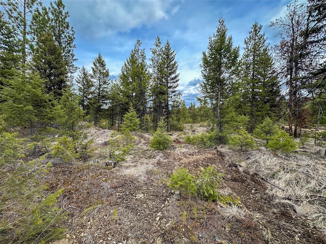 Listing photo 3 for LOT10 Acm Rd N, Libby MT 59923