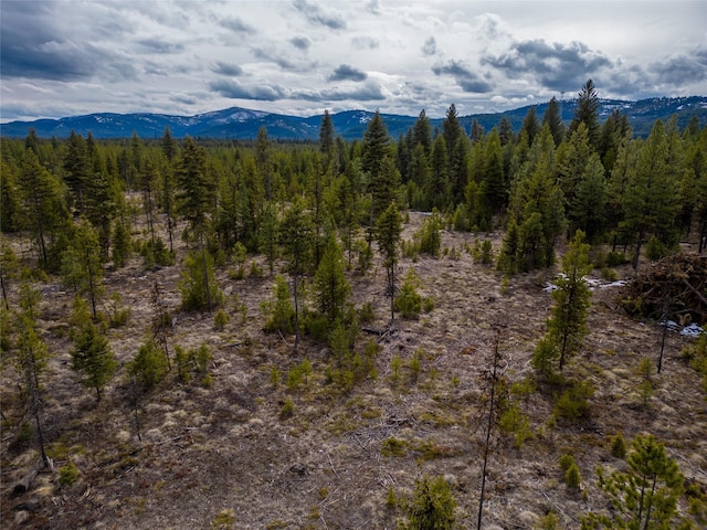 LOT10 Acm Rd N, Libby, MT 59923