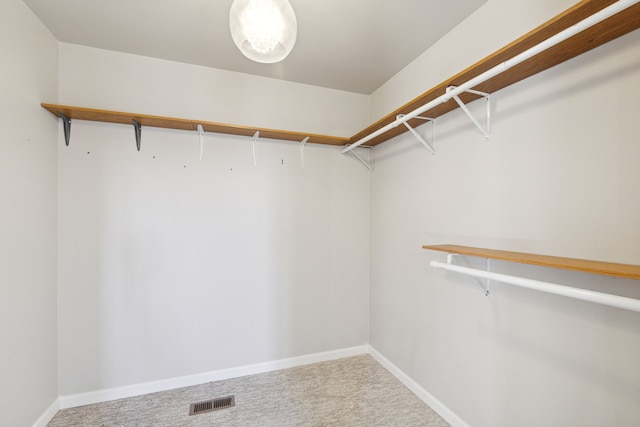 spacious closet with carpet