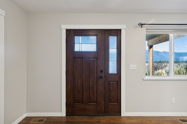 foyer with a mountain view and dark wood-type flooring