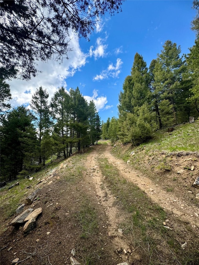 Listing photo 2 for NHN Perkins Gulch Road, Anaconda MT 59711